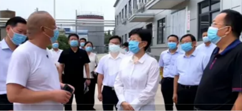 焦作市委書記葛巧紅一行蒞臨旭瑞集團參觀調研！